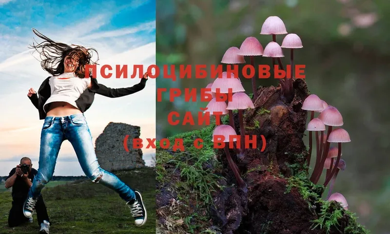 Галлюциногенные грибы Psilocybine cubensis  Касимов 